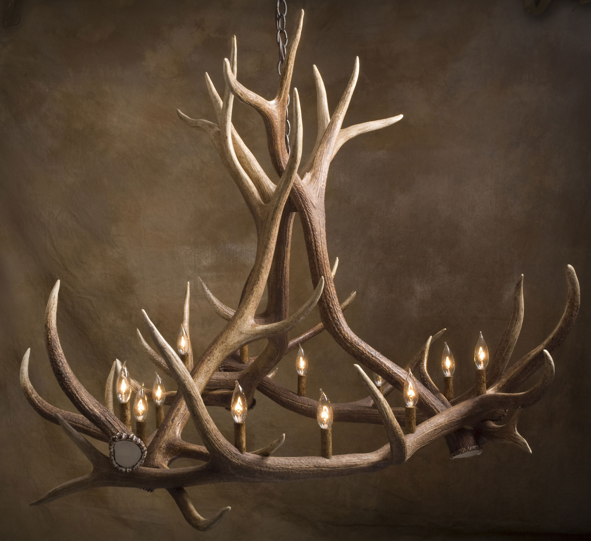 Elk horn deals lamp